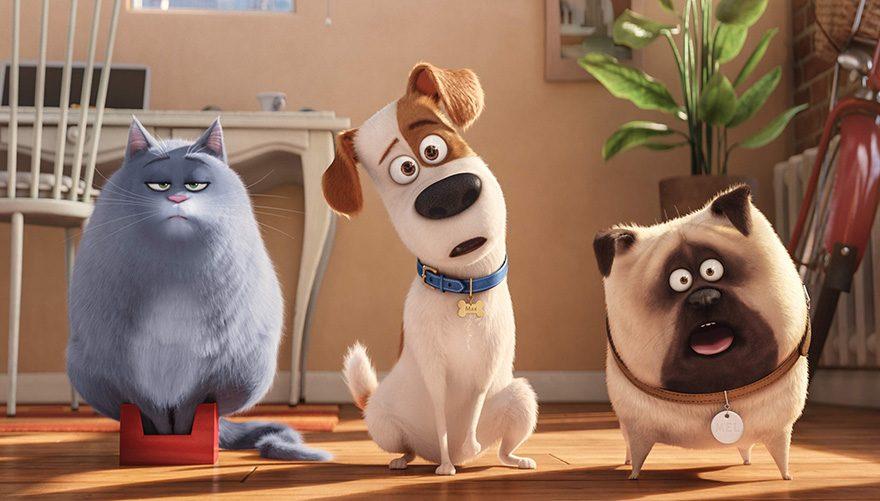 Тайная жизнь домашних животных